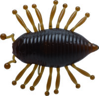 ILLEX MAGIC WOODLOUSE 1.18" / 3cm CHERRY COKE