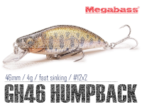 Megabass GH46 HUMPBACK(FS)