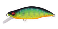 Megabass GH51 HUMPBACK(FS) PA-MARK MAT TIGER