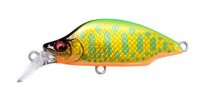 Megabass GH52 BAT A FRY DD LIME BACK GOLD OB