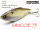 NISHINE LURE WORKS Simcoe 75