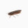 Nays BG - BUG