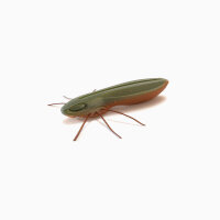 Nays BG - BUG 20 - ca. 5.1cm-C-29