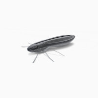 Nays BG - BUG 20 - ca. 5.1cm-C-31