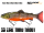 Savage Gear 3D Line Thru Trout