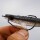 Gamakatsu WORM 330 BOTTOM JIGGING HOOKS