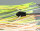Gamakatsu TRAILER HOOKS BLACK