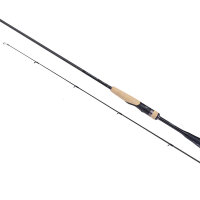 SHIMANO EXPRIDE (SPINNING)