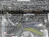 TROUT MASTER WORM / 6.5cm Mix Paket-dunkel/dark