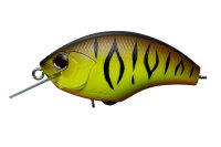 O.S.P. BLITZ / 5.3cm P27 Brown Tiger