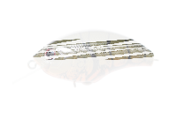 O.S.P. BLITZ / 5.3cm Z37 Green Craw