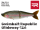 Swimbait Republic Glideway 126