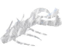 10FTU Stoll Craw 3.5" / 8.9cm #6 Black＆Blue
