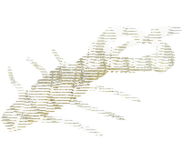 10FTU Stoll Craw 3.5" / 8.9cm #7 Gold/Silver