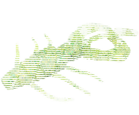 10FTU Stoll Craw 3.5" / 8.9cm #9 Chart Spark