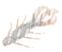 10FTU Stoll Craw 3.5" / 8.9cm SW #5 Log Worm