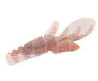 10FTU Microtter 2.5" / 6.4cm #4 Both Craw