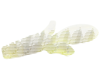 10FTU Chibirotter 3" / 7.6cm #6 Kiwi