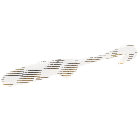 10FTU V-Skip 4.7 / 12cm #23 Alabama Craw