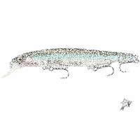 10FTU Bash128F 12.8cm #7 Ghost Minnow