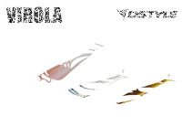 DSTYLE VIROLA