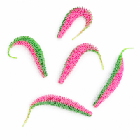 Rippchen 10cm