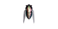 Megabass NANO SIGLETT / 2.38cm TAMAMUSHI