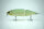 DRT × BUNBUN KLASH9 | KL9 | Low | #グリーンシャッド / Green Shad