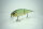 DRT × BUNBUN KLASH9 | KL9 | Low | #グリーンシャッド / Green Shad