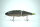 DRT KLASH9 | KL9 | Low | #LAKE TROUT