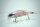 DRT / Tokyo Anglers Mayday KLASH9 | KL9 | Low | #CVLTLAKE