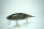 DRT × GO FISHING TiNY KLASH | LowFloat | #ウグイ Silver / Ugui Silver