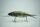 DRT TiNY KLASH | DTK13 | DeepRunner | #DRT BASS ver.2
