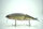 DRT × 88bassboat TiNY KLASH | LowFloat | #88bassboat KINGスメルト / KING Smelt