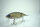 DRT × 88bassboat TiNY KLASH | LowFloat | #88bassboat KINGスメルト / KING Smelt