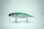DRT × Fishing Eight TiNY KLASH | LowFloat | #SEXY MIRAGE