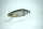 DRT × ANGLERS KLASH GHOST #Ghost Ultimate Baitfish