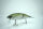 DRT × BACKLASH B-Fes TiNY KLASH | LowFloat | #西濃淡水ボラ / Seino Freshwater Bora