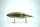 DRT × GO FISHING TiNY KLASH | LowFloat | #ウグイ Gold / Ugui Gold