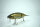DRT × GO FISHING TiNY KLASH | LowFloat | #ウグイ Gold / Ugui Gold