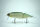 DRT TiNY KLASH | LowFloat | #グリーンシャッド / Green Shad