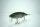 DRT TiNY KLASH | LowFloat | #マジックシャッド / Magic Shad