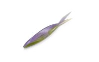 DRT CUSTOMSOFTBAITS VTS 7"
