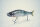 GAN CRAFT / Kikumoto SP JOINTED CLAW 178 #K-01 Hasu (ハス)