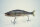 GAN CRAFT JOINTED CLAW 178 #AC07 Super real flumendosa BASS Bone