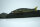 GAN CRAFT JOI CRAWLER 178 #GAN-67 REAL LARGE MOUTH BASS