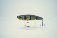 GAN CRAFT Z-CLAW #GAN-66 REAL PERCH