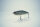 GAN CRAFT Z-CLAW #GAN-67 REAL LARGEMOUTH BASS
