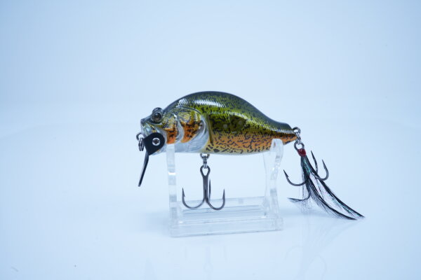ADUSTA ZACRAWL SC Jr. 65mm/14g -#011Murray COD