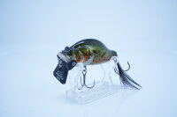 ADUSTA ZACRAWL SC Jr. 65mm/14g -#011Murray COD